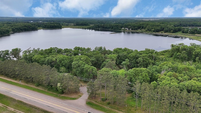 3566 State Highway 210, Baxter, MN 56425 - aerial view of a forest and a nearby body of water