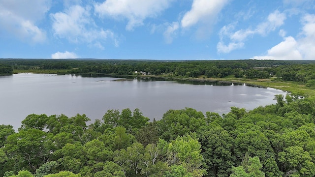 3566 State Highway 210, Baxter, MN 56425 - water view featuring a forest