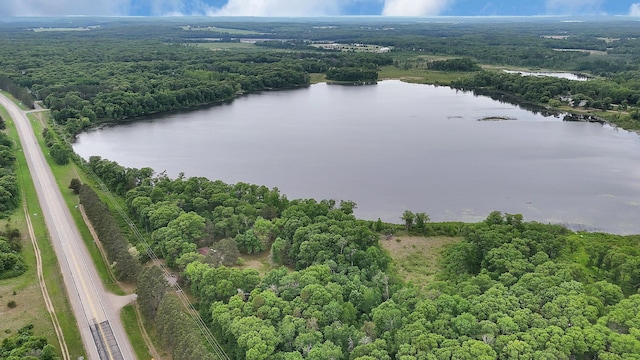3566 State Highway 210, Baxter, MN 56425 - aerial view of a large body of water and a forest