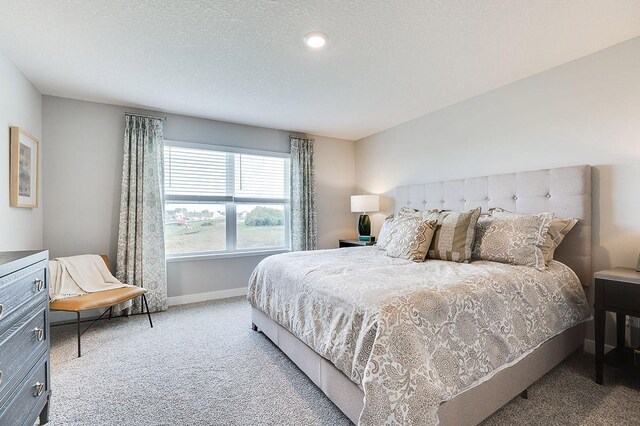 222 Snowdrop Trl, Waconia, MN 55387 - carpeted bedroom with baseboards