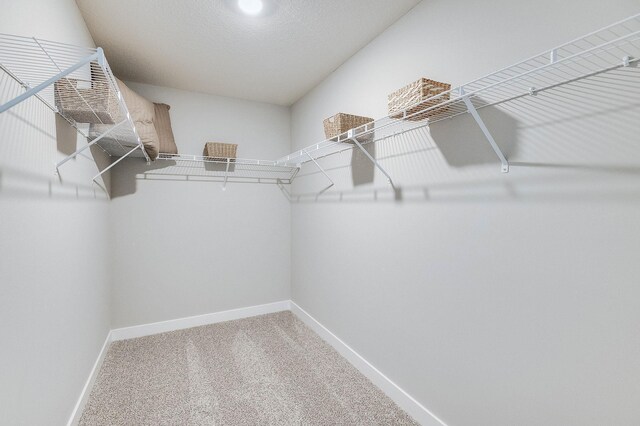 222 Snowdrop Trl, Waconia, MN 55387 - spacious closet with carpet