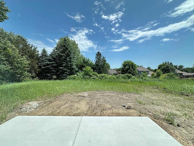 151 Snowdrop Trl, Waconia, MN 55387 - view of yard featuring a patio area