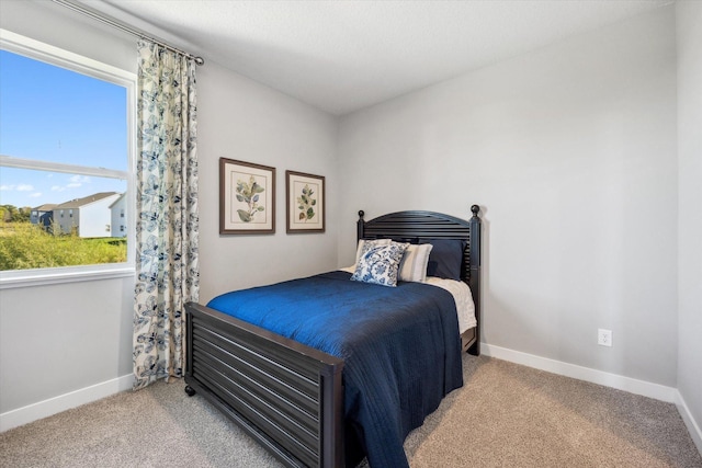 151 Snowdrop Trl, Waconia, MN 55387 - bedroom featuring carpet flooring