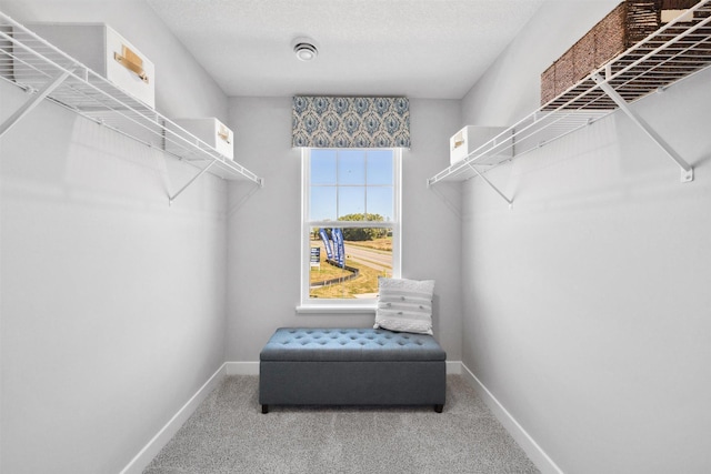 151 Snowdrop Trl, Waconia, MN 55387 - spacious closet with carpet floors