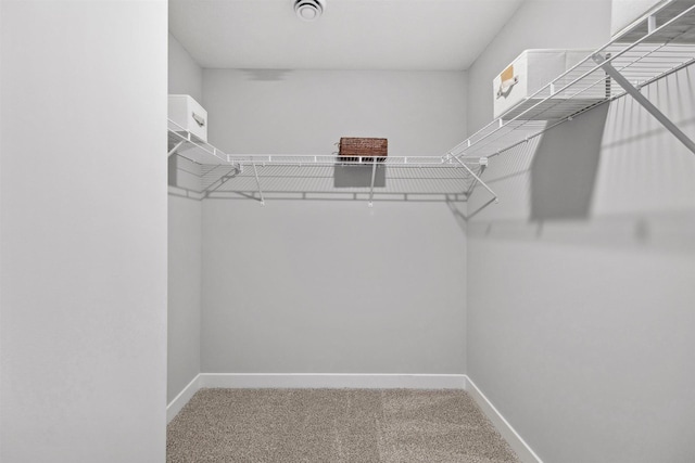 151 Snowdrop Trl, Waconia, MN 55387 - walk in closet featuring carpet floors