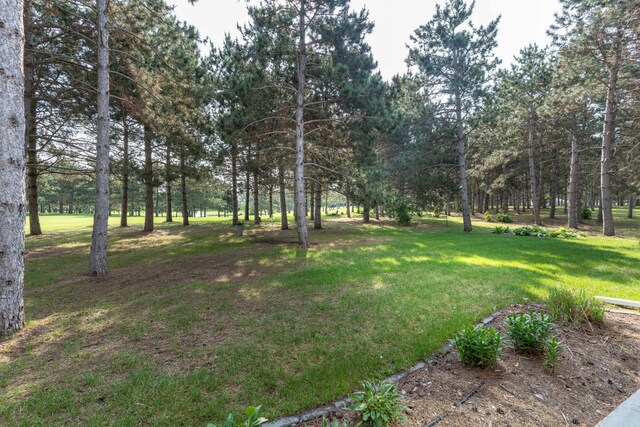 120 Red Pine Trl, Ottertail, MN 56571 - photo 16