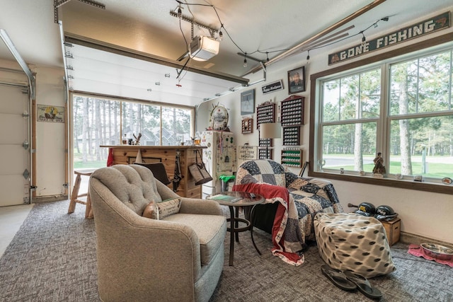 120 Red Pine Trl, Ottertail, MN 56571 - photo 49