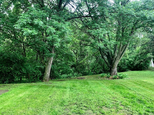 608 2nd St S, Cold Spring, MN 56320 - photo 16