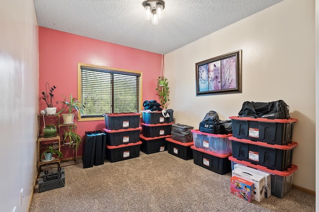 26722 Rabbit Trl, Stanford Twp, MN 55398 - home office featuring carpet flooring and a textured ceiling