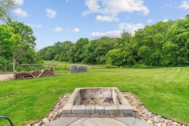 26722 Rabbit Trl, Stanford Twp, MN 55398 - view of grassy yard with an outdoor fire pit