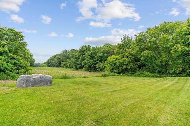 26722 Rabbit Trl, Stanford Twp, MN 55398 - view of grassy yard with a wooded view