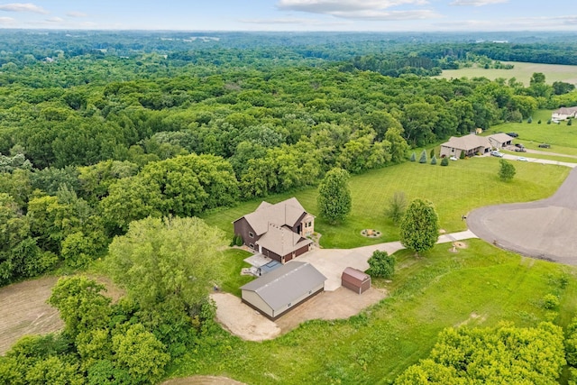 26722 Rabbit Trl, Stanford Twp, MN 55398 - view of subject property with a forest