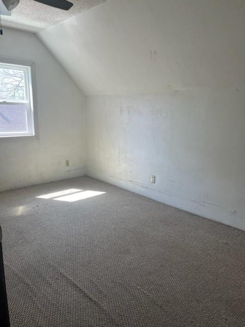 718 9th St N, Mountain Lake, MN 56159 - bonus room featuring vaulted ceiling, carpet flooring, and a ceiling fan