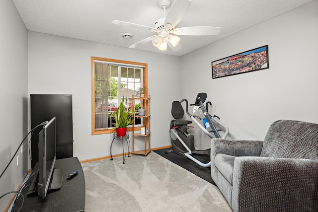4645 Eagle Ridge Ln, Monticello, MN 55362 - workout room with carpet floors, a ceiling fan, baseboards, and a textured ceiling