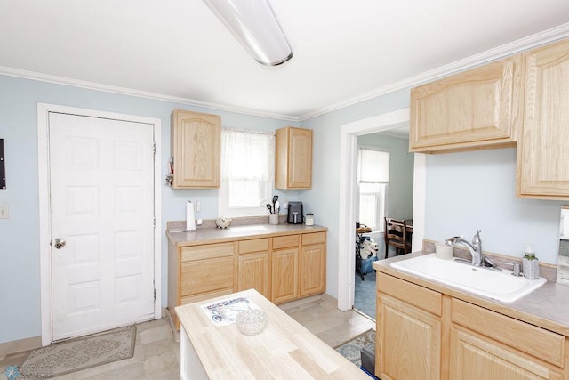 425 12th Ave S, Fargo, ND 58103 - kitchen featuring light brown cabinetry, a sink, ornamental molding, and light countertops