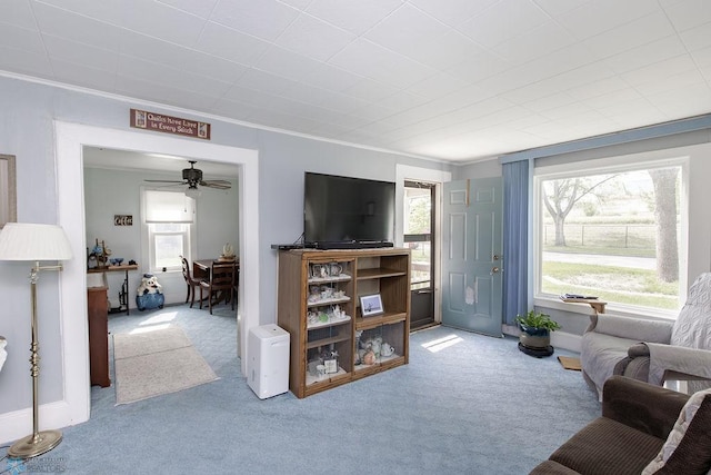 425 12th Ave S, Fargo, ND 58103 - carpeted living area with ceiling fan, plenty of natural light, ornamental molding, and baseboards