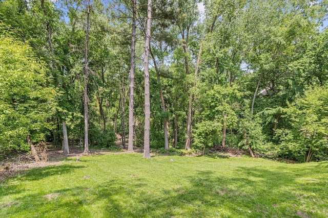 3617 Tanglewood Ct, Eagan, MN 55123 - photo 39