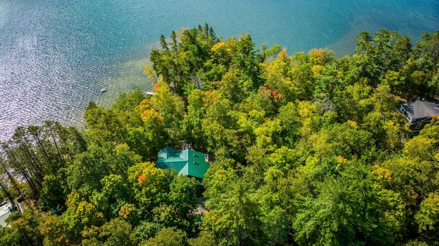 4050 Gryce Styne Rd NE, Bemidji, MN 56601 - photo 18