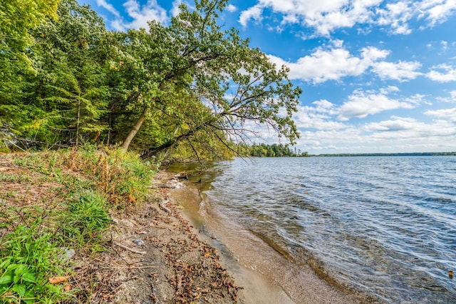 4050 Gryce Styne Rd NE, Bemidji, MN 56601 - photo 26
