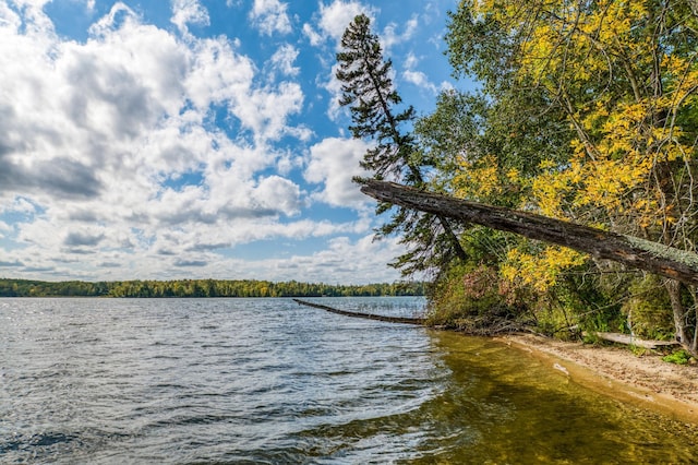 4050 Gryce Styne Rd NE, Bemidji, MN 56601 - photo 28