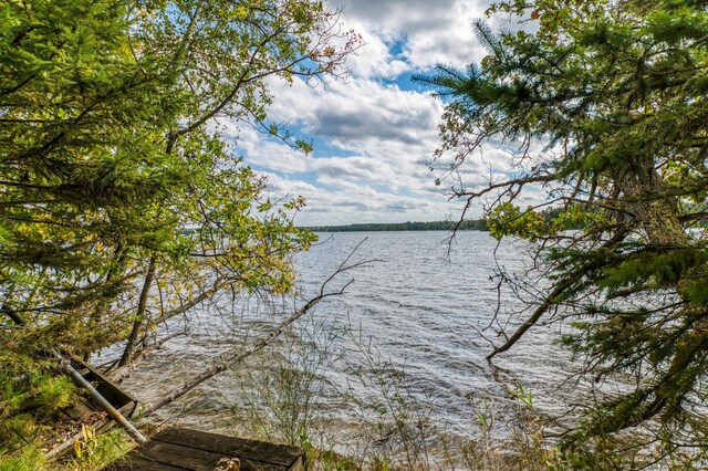 4050 Gryce Styne Rd NE, Bemidji, MN 56601 - photo 35