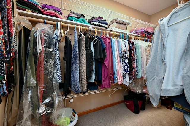 705 14th St, Wabasha, MN 55981 - spacious closet featuring carpet flooring