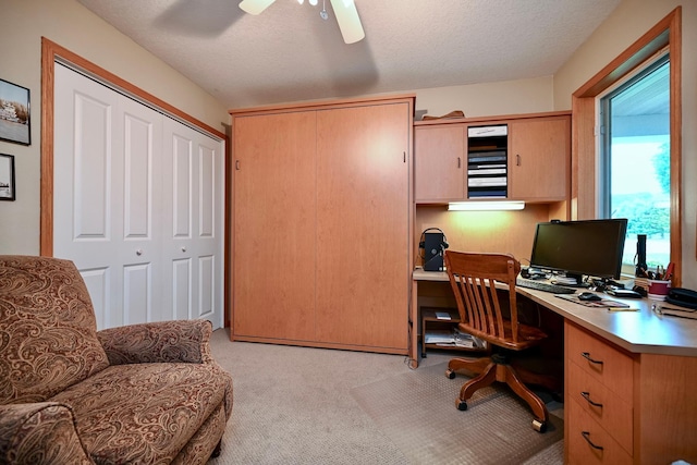 705 14th St, Wabasha, MN 55981 - office area featuring light carpet and a ceiling fan
