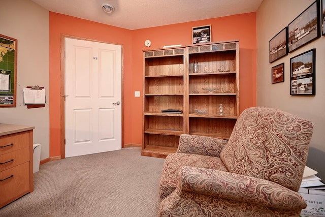 705 14th St, Wabasha, MN 55981 - living area with carpet flooring and baseboards