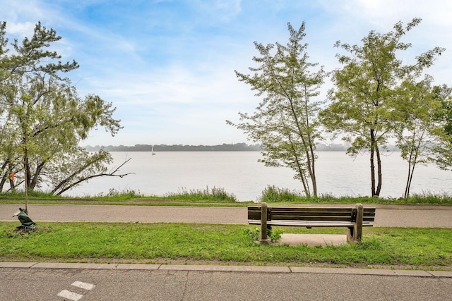 3409 Emerson Ave S Unit 4, Minneapolis, MN 55408 - view of community featuring a water view