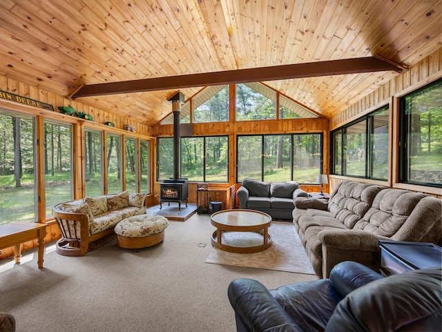 3709 Half Moon Cir, Jackson Twp, WI 54830 - living area with a wood stove, carpet, wood walls, and wooden ceiling