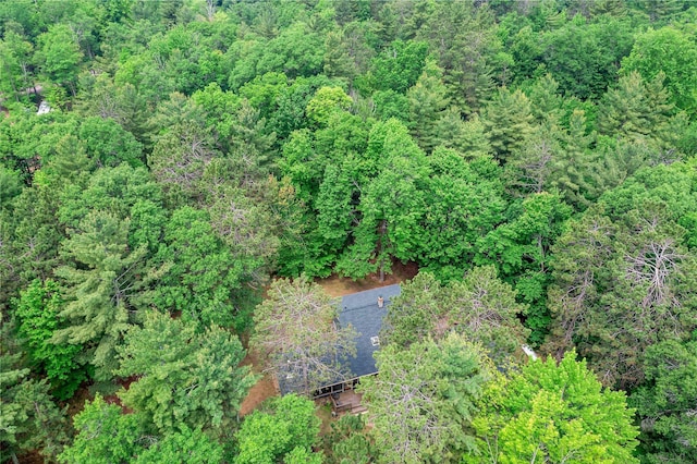 3709 Half Moon Cir, Jackson Twp, WI 54830 - drone / aerial view of a forest