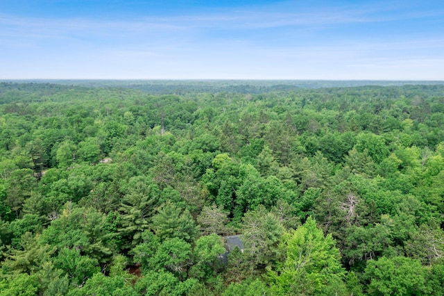 3709 Half Moon Cir, Jackson Twp, WI 54830 - drone / aerial view of a heavily wooded area