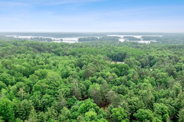 3709 Half Moon Cir, Jackson Twp, WI 54830 - drone / aerial view of a large body of water and a heavily wooded area