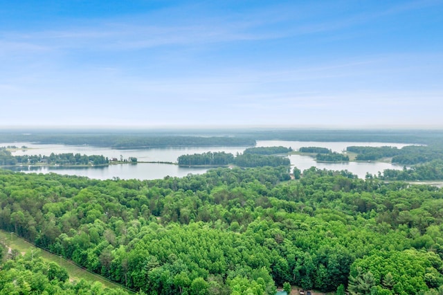 3709 Half Moon Cir, Jackson Twp, WI 54830 - bird's eye view of a nearby body of water and a forest