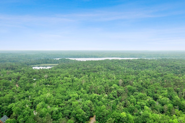 3709 Half Moon Cir, Jackson Twp, WI 54830 - bird's eye view of a heavily wooded area and a large body of water