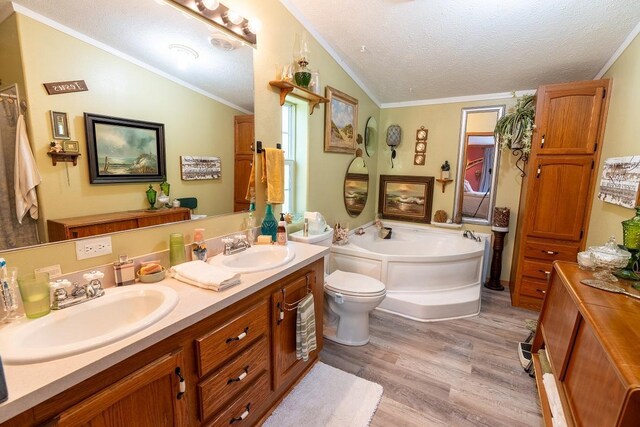 N1024 385th St, Maiden Rock, WI 54750 - bathroom with lofted ceiling, double vanity, a garden tub, wood finished floors, and a textured ceiling