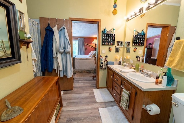 N1024 385th St, Maiden Rock, WI 54750 - bathroom featuring connected bathroom, wood finished floors, double vanity, and toilet
