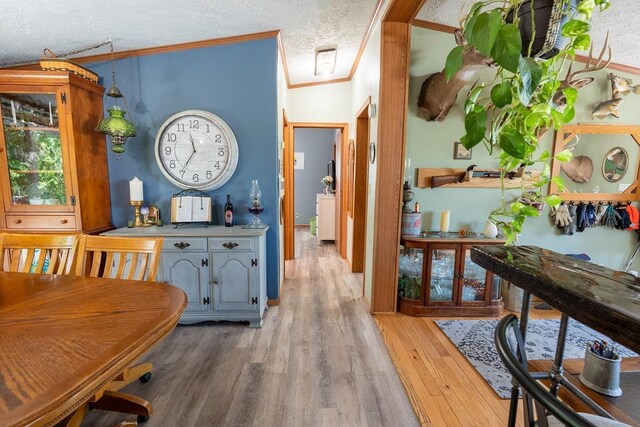 N1024 385th St, Maiden Rock, WI 54750 - hall with wood finished floors, ornamental molding, and a textured ceiling