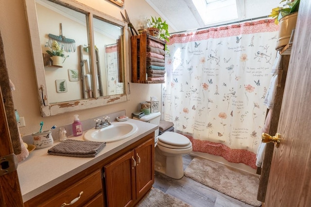 N1024 385th St, Maiden Rock, WI 54750 - full bathroom with a skylight, vanity, toilet, and wood finished floors