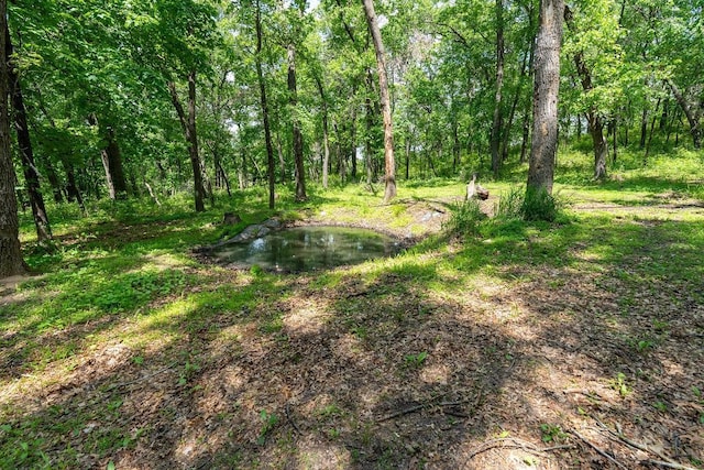 N1024 385th St, Maiden Rock, WI 54750 - view of tree filled area