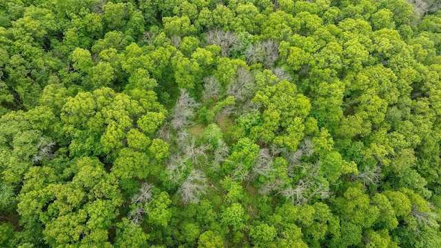 N1024 385th St, Maiden Rock, WI 54750 - aerial overview of property's location