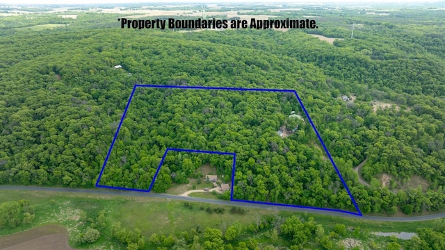 N1024 385th St, Maiden Rock, WI 54750 - aerial overview of property's location with a heavily wooded area and property boundaries highlighted