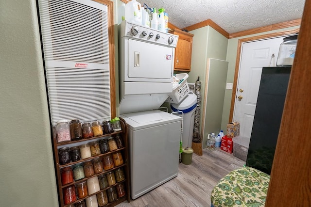 N1024 385th St, Maiden Rock, WI 54750 - washroom with stacked washer / dryer, cabinet space, and light wood-style flooring