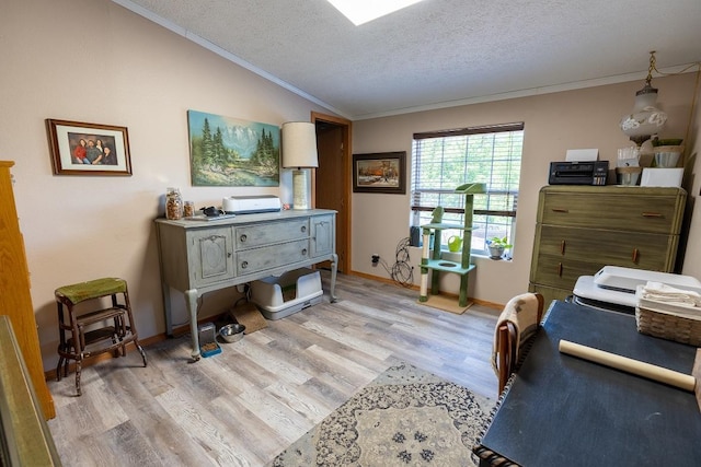 N1024 385th St, Maiden Rock, WI 54750 - office area with crown molding, vaulted ceiling, light wood-type flooring, a textured ceiling, and baseboards