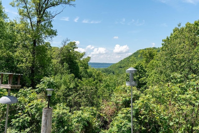 N1024 385th St, Maiden Rock, WI 54750 - mountain view featuring a heavily wooded area