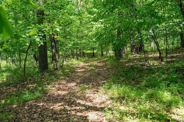 N1024 385th St, Maiden Rock, WI 54750 - view of wooded area
