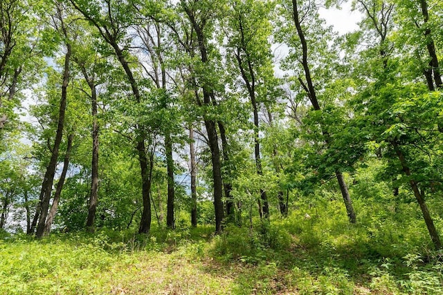 N1024 385th St, Maiden Rock, WI 54750 - view of undeveloped land
