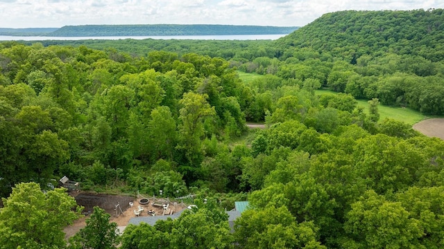N1024 385th St, Maiden Rock, WI 54750 - bird's eye view of a heavily wooded area and a nearby body of water