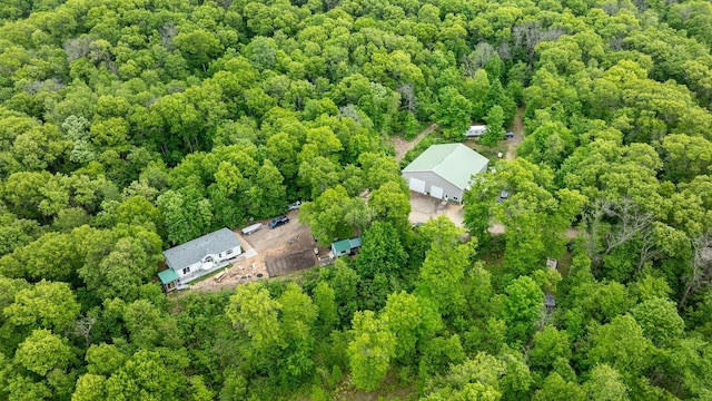 N1024 385th St, Maiden Rock, WI 54750 - view of subject property with a heavily wooded area