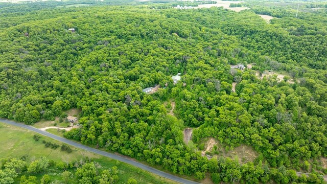 N1024 385th St, Maiden Rock, WI 54750 - bird's eye view of a forest